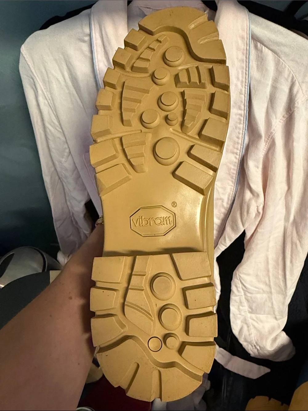 Danner Gore-Tex Desert boots